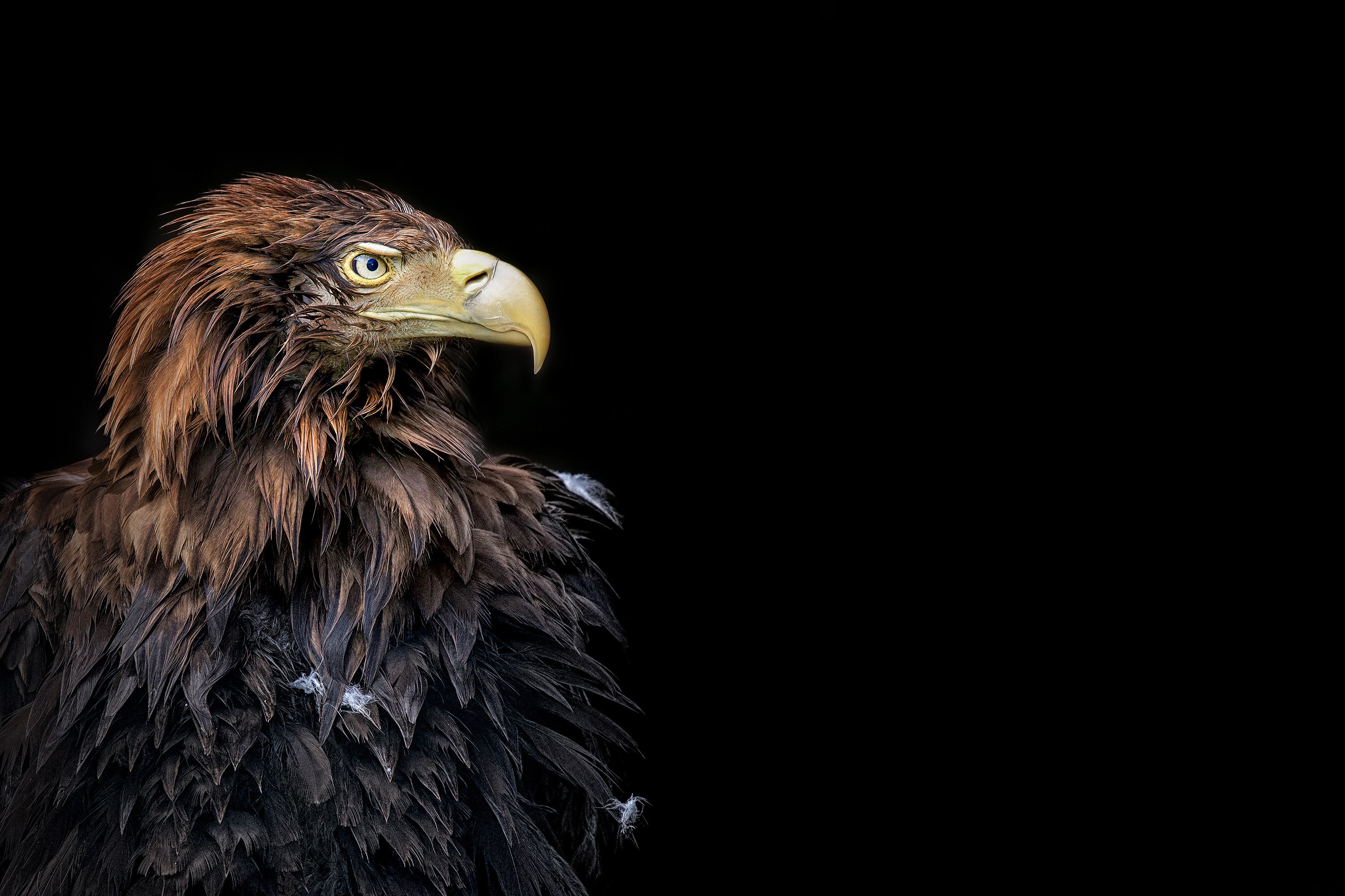 INTRUST AG Hero Image