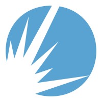 Mesirow Logo