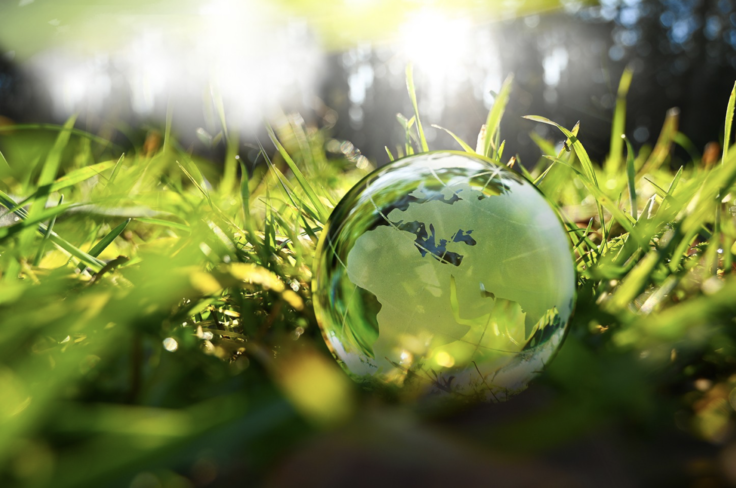 Asset and Liability Management Specialist (m|f|x) Hero Image