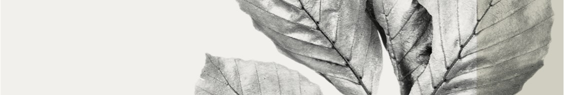 Credit Analyst (m|f|x) Hero Image