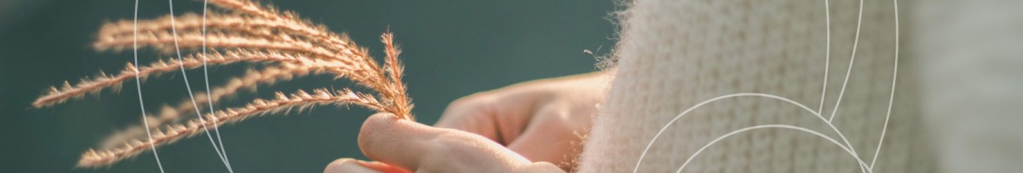 Junior Client Advisor- Düsseldorf (m|f|x) Hero Image