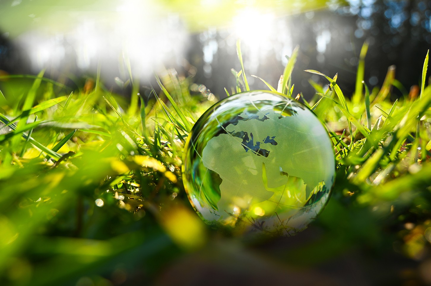 Portfolio Analyst (m|f|x) Hero Image